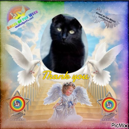 Shahorik uploaded   35  day/s  ago