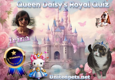 Shahorik uploaded   62  day/s  ago