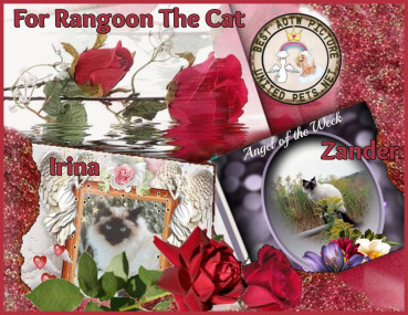 Shahorik uploaded   89  day/s  ago