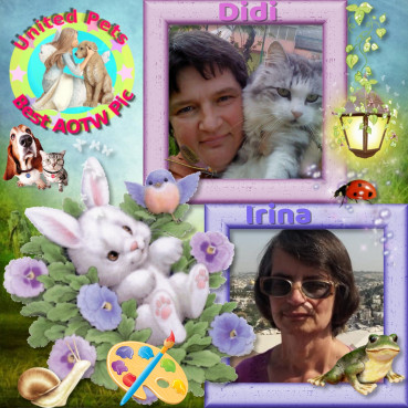 Shahorik uploaded   49  day/s  ago