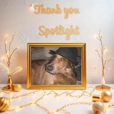 Shahorik uploaded   83  day/s  ago