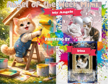 Shahorik uploaded   3  day/s  ago