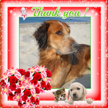 Shahorik uploaded   65  day/s  ago