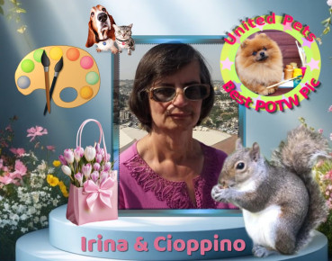 Shahorik uploaded   7  day/s  ago