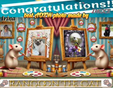 Shahorik uploaded   90  day/s  ago