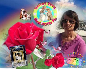 Shahorik uploaded   2  day/s  ago