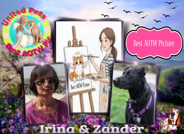 Shahorik uploaded   85  day/s  ago