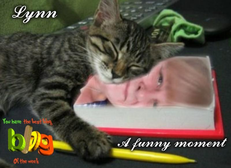 TuckersMom uploaded   81  day/s  ago