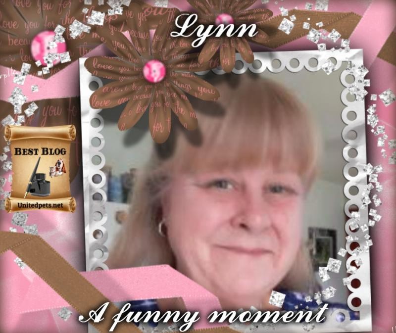 TuckersMom uploaded   81  day/s  ago