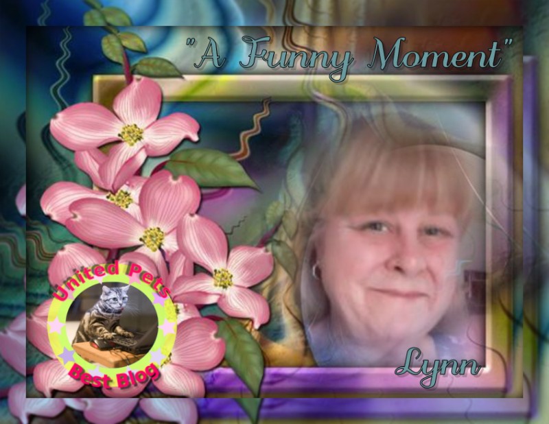 TuckersMom uploaded   82  day/s  ago