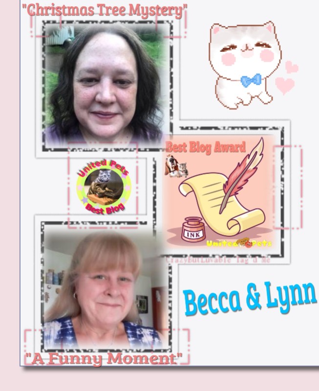 TuckersMom uploaded   81  day/s  ago