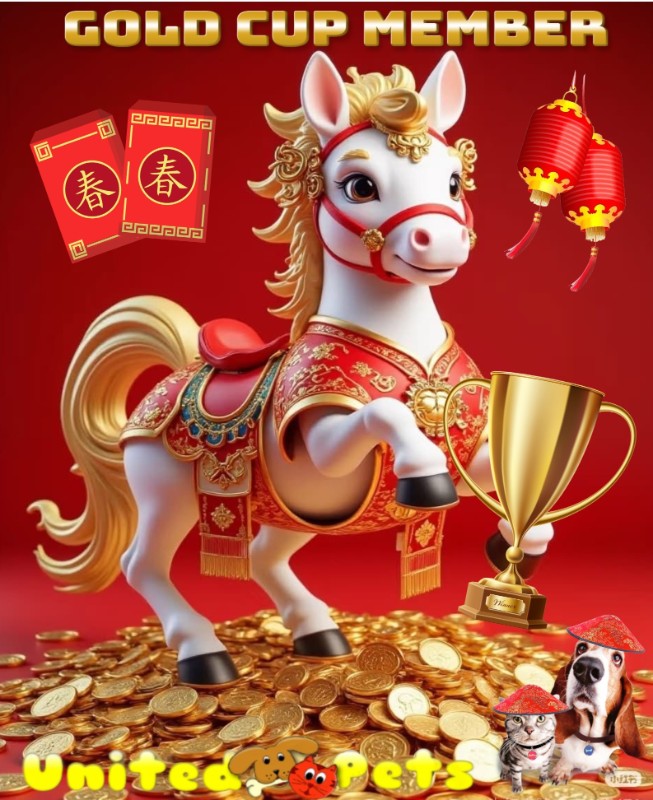 Ulvi2016 uploaded   81  day/s  ago