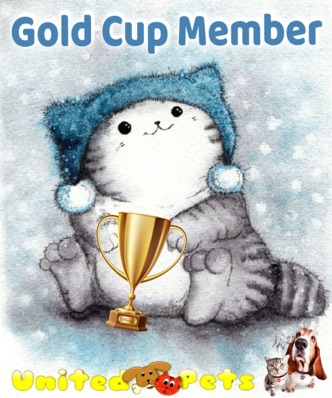 Ulvi2016 uploaded   94  day/s  ago