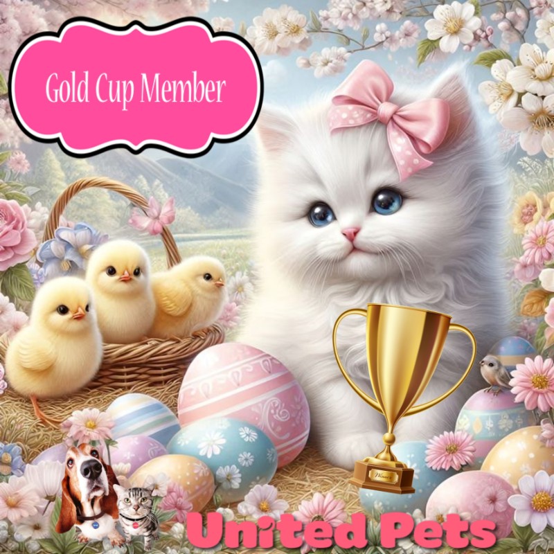 Ulvi2016 uploaded   15  day/s  ago