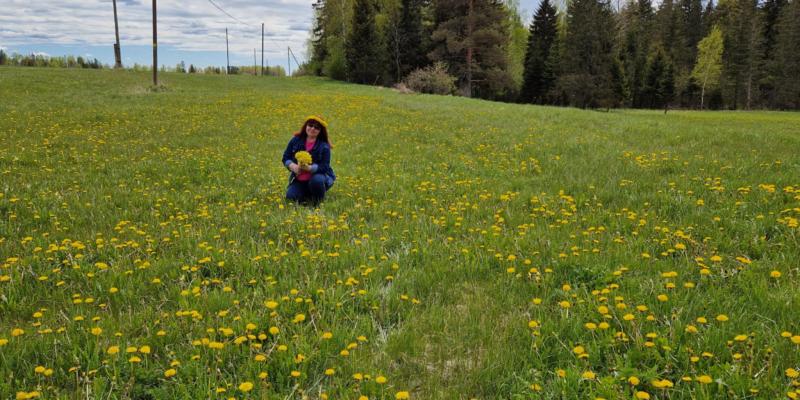 Ulvi2016 uploaded   340  day/s  ago