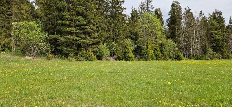 Ulvi2016 uploaded   340  day/s  ago