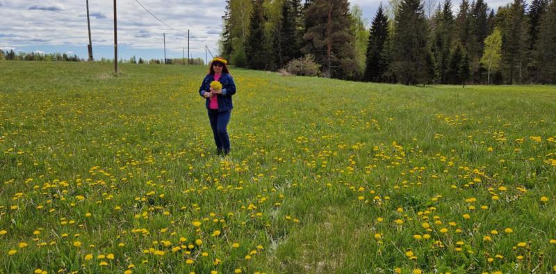 Ulvi2016 uploaded   340  day/s  ago