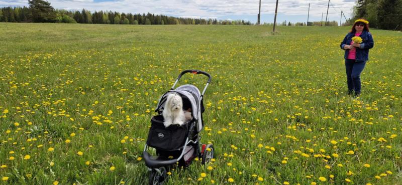 Ulvi2016 uploaded   340  day/s  ago