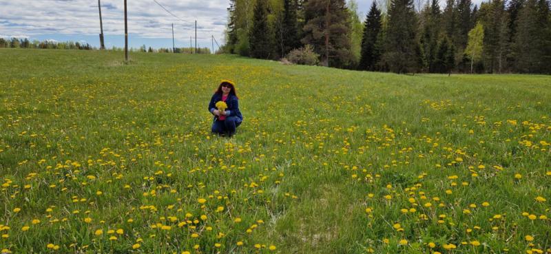 Ulvi2016 uploaded   340  day/s  ago