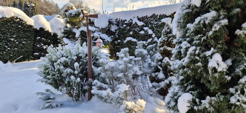 Ulvi2016 uploaded   79  day/s  ago