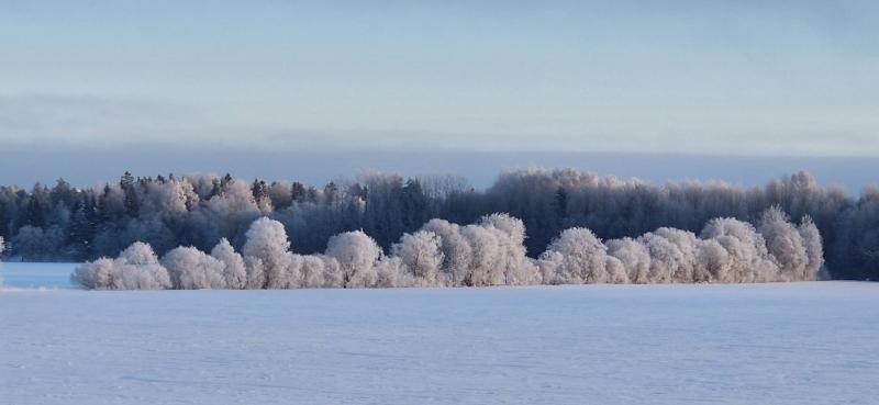 Ulvi2016 uploaded   79  day/s  ago