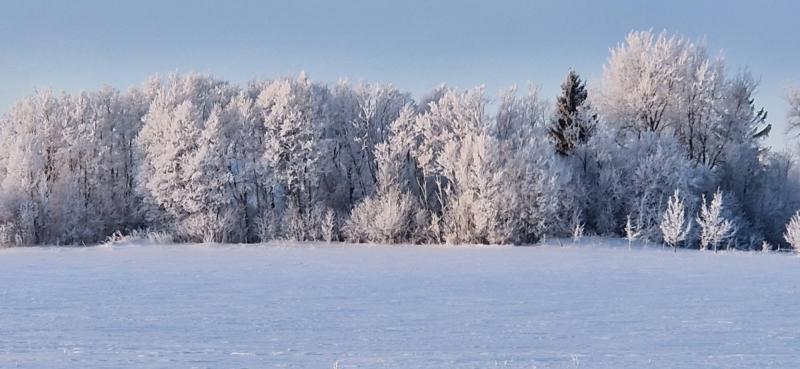 Ulvi2016 uploaded   79  day/s  ago