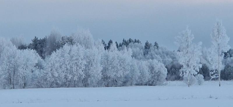 Ulvi2016 uploaded   79  day/s  ago