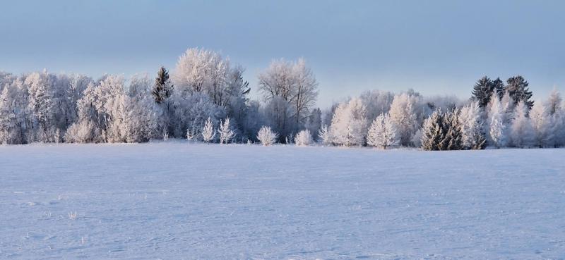 Ulvi2016 uploaded   85  day/s  ago