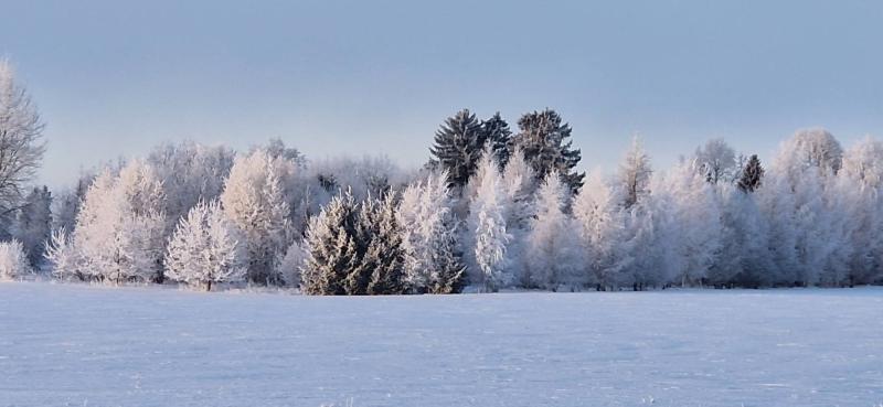 Ulvi2016 uploaded   79  day/s  ago