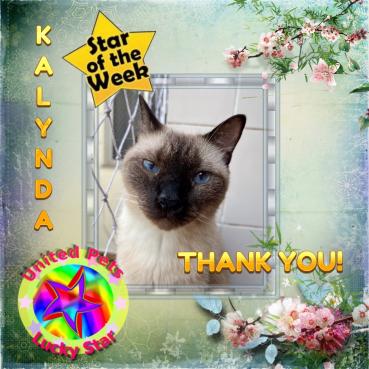 erna63 uploaded   2 year/s ago
