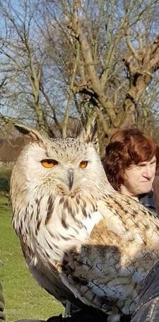 erna63 uploaded   1 year/s ago