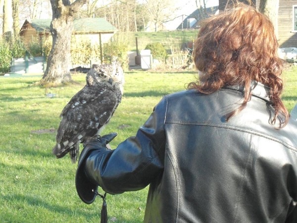 erna63 uploaded   1 year/s ago