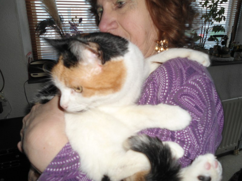 erna63 uploaded   1 year/s ago