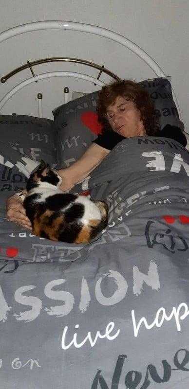 erna63 uploaded   1 year/s ago