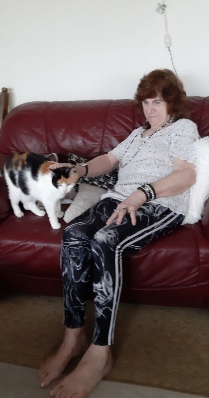 erna63 uploaded   232  day/s  ago