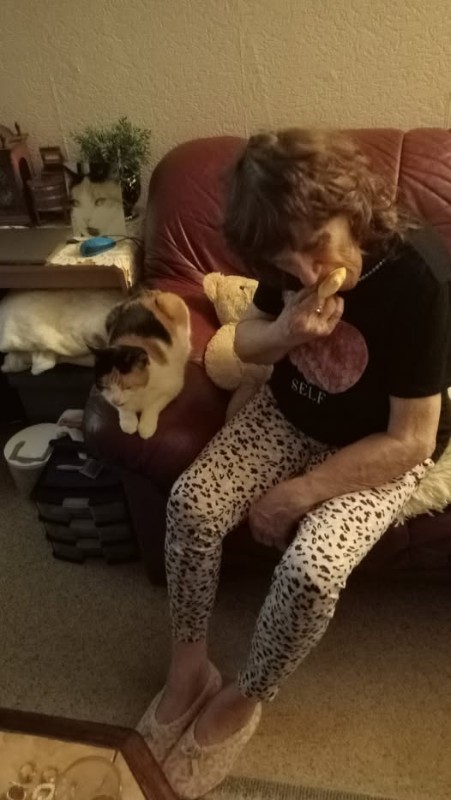 erna63 uploaded   281  day/s  ago