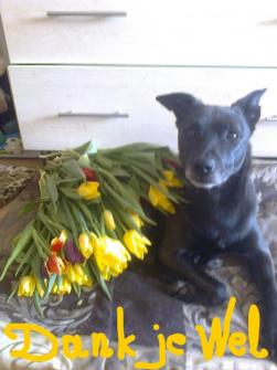 erna63 uploaded   358  day/s  ago