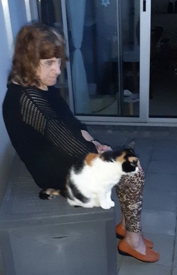 erna63 uploaded   235  day/s  ago