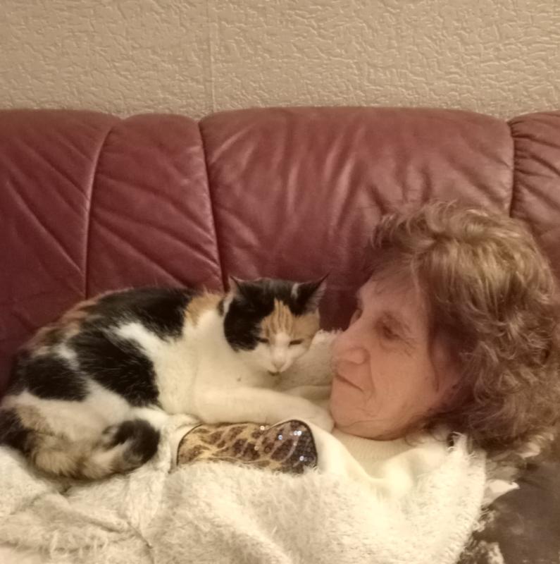 erna63 uploaded   141  day/s  ago