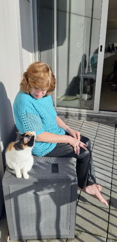 erna63 uploaded   88  day/s  ago