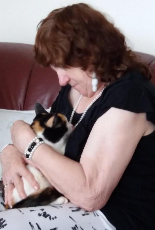 erna63 uploaded   70  day/s  ago