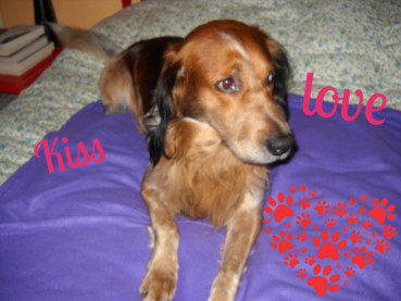 erna63 uploaded   66  day/s  ago