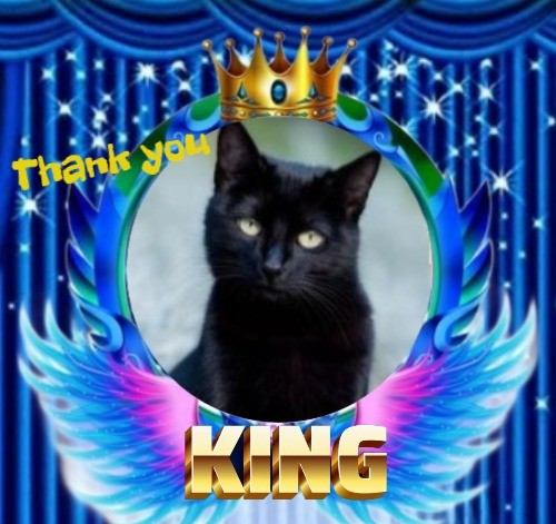 erna63 uploaded   42  day/s  ago