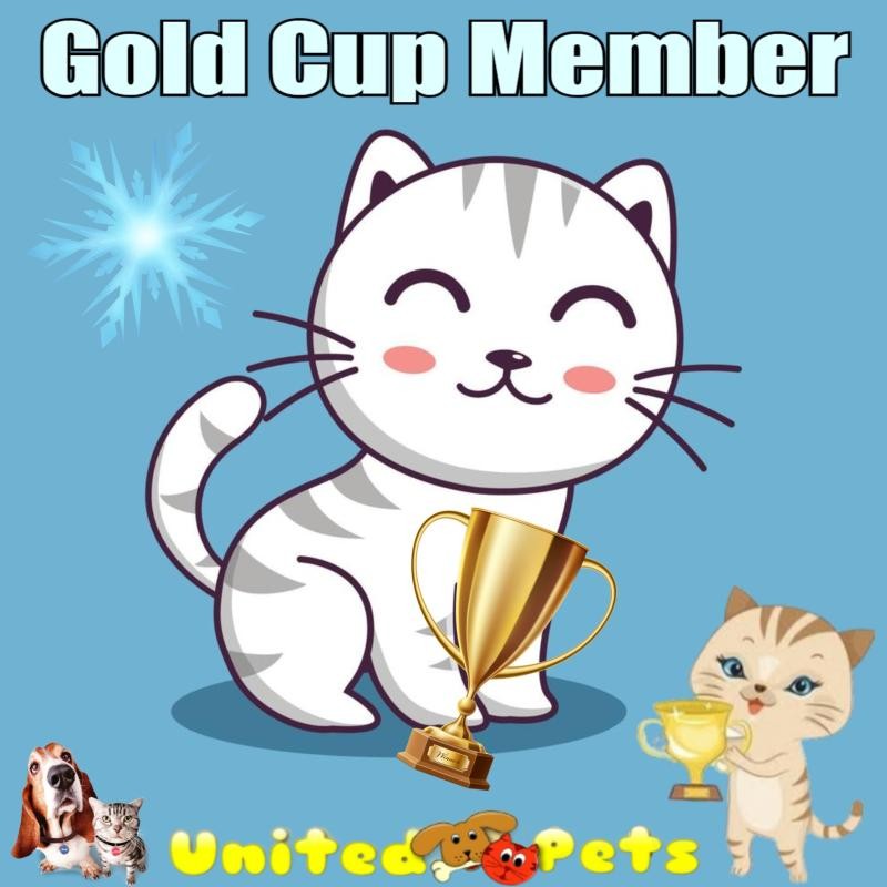 erna63 uploaded   56  day/s  ago