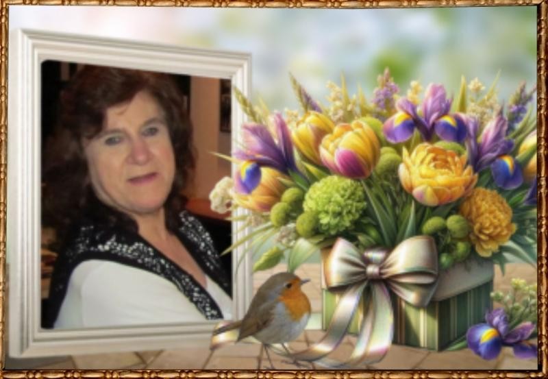 erna63 uploaded   90  day/s  ago