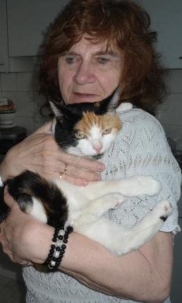 erna63 uploaded   34  day/s  ago