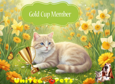 erna63 uploaded   26  day/s  ago