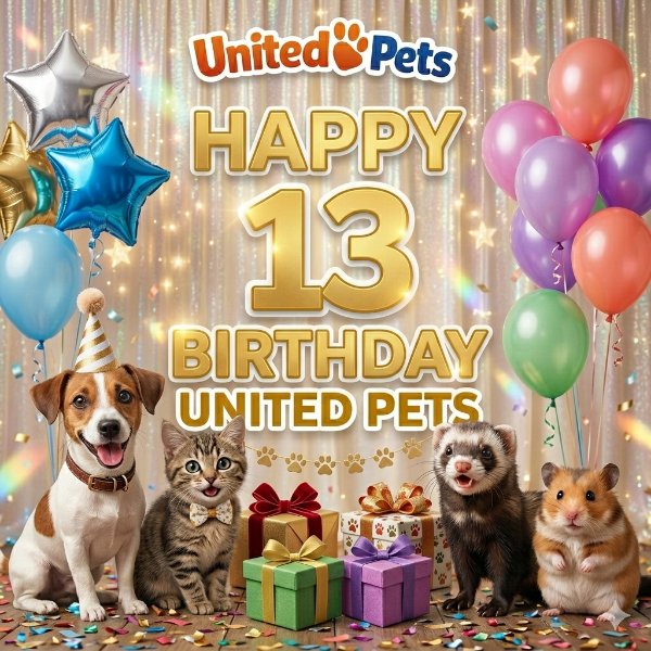 ladybelle uploaded   1  day/s  ago