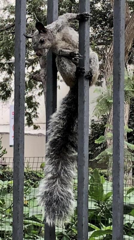 luzcas1106 uploaded   318  day/s  ago