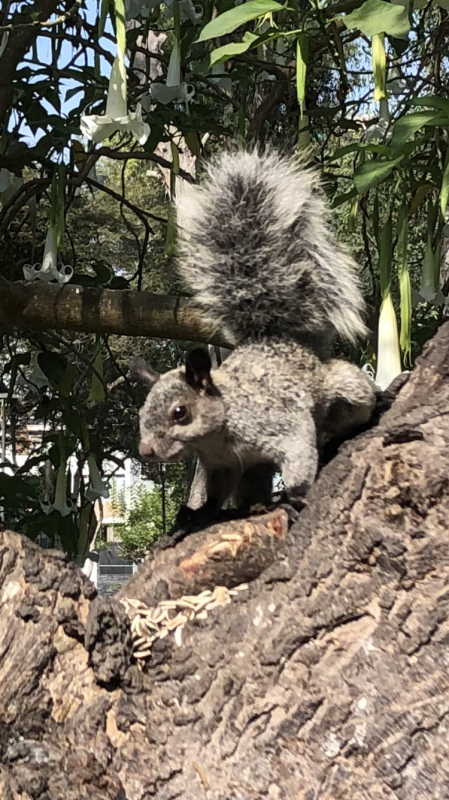 luzcas1106 uploaded   7  day/s  ago